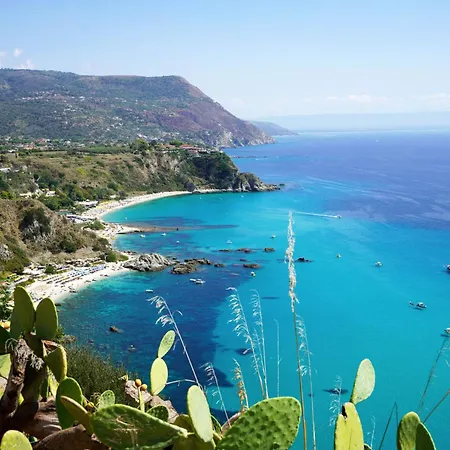 Apartment Michela's House Capo Vaticano